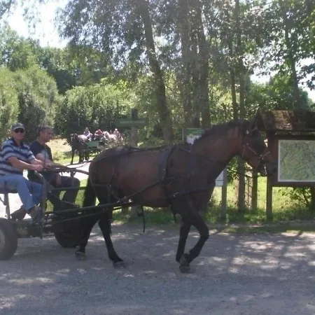 Menil-hubert-sur-orne, 4 Pieces, 5 Personnes - Fr-1-497-70 * Ménil-Hubert-sur-Orne